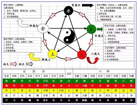 天干 顏色|第17課十天干顏色、陰陽、五行方位、屬性、轉換關係等（珍藏。